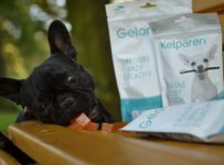 Soutěž o veterinární doplňky a další produkty od Aktivního zvířete