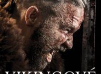 Vyhrajte knihu Vikingové – pomsta synů