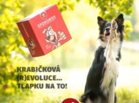 Vyhrajte SPOKOBOX – testovací krabičku pro chovatele psů
