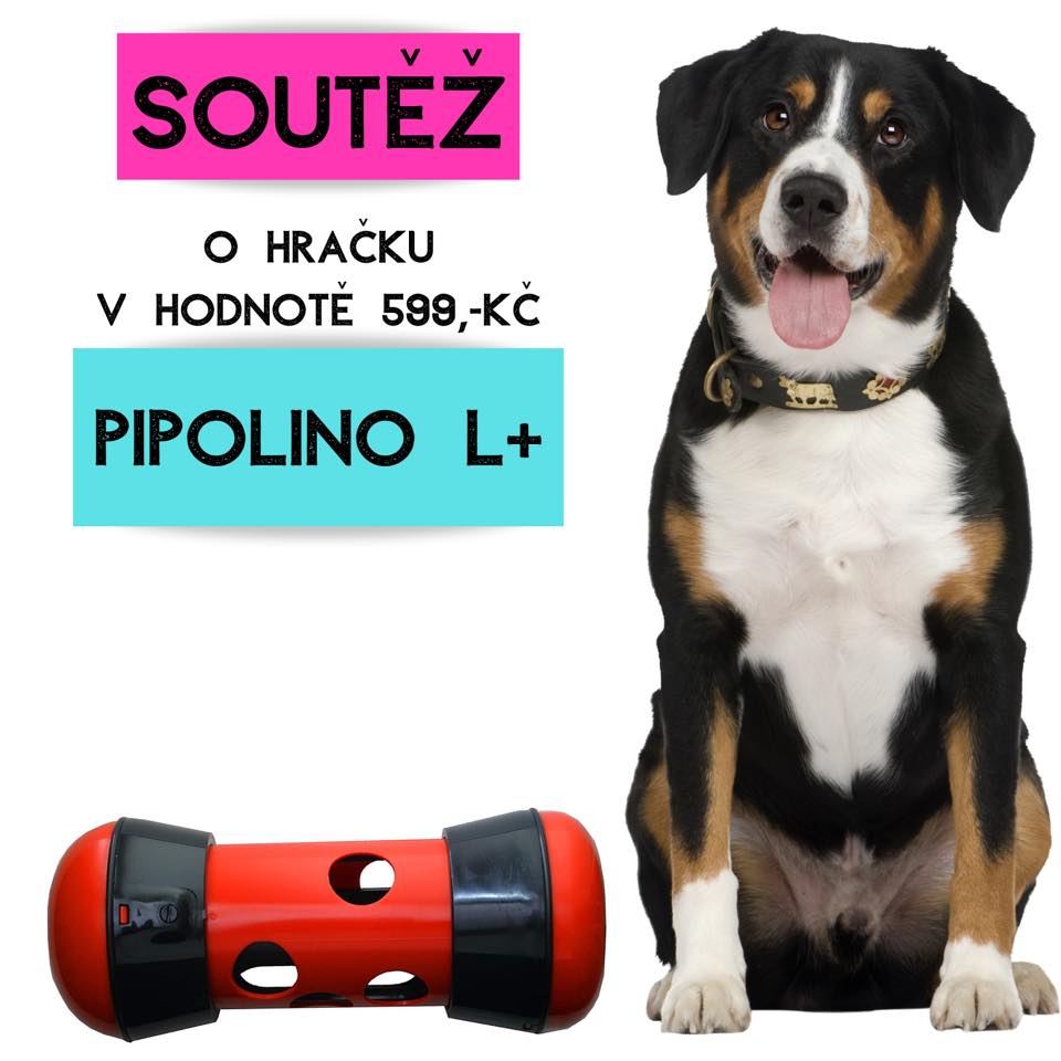 Soutěž o interaktivní hračku PIPOLINO L+