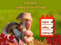 Soutěž o 3 balení sadby lesních hub 8v1 + 1 balení dle vlastního výběru