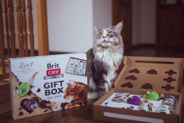Soutěž o box plný radosti pro vaší kočičku od značky Brit