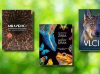 Soutěž o tři knižní novinky z Nakladatelství KAZDA