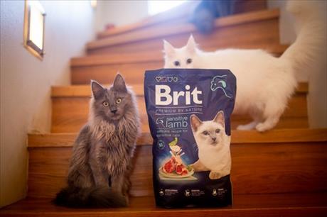 Soutěž o balíčky krmiva Brit Premium by Nature v hodnotě 600 Kč