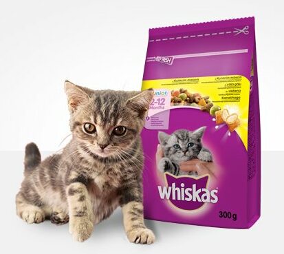 Soutěž o 5x balíček kočičího krmiva WHISKAS v hodnotě 300 Kč
