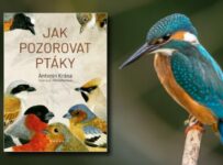 Soutěž o knihu Jak pozorovat ptáky