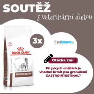 Soutěž o veterinární krmivo pro psy značky Royal Canin